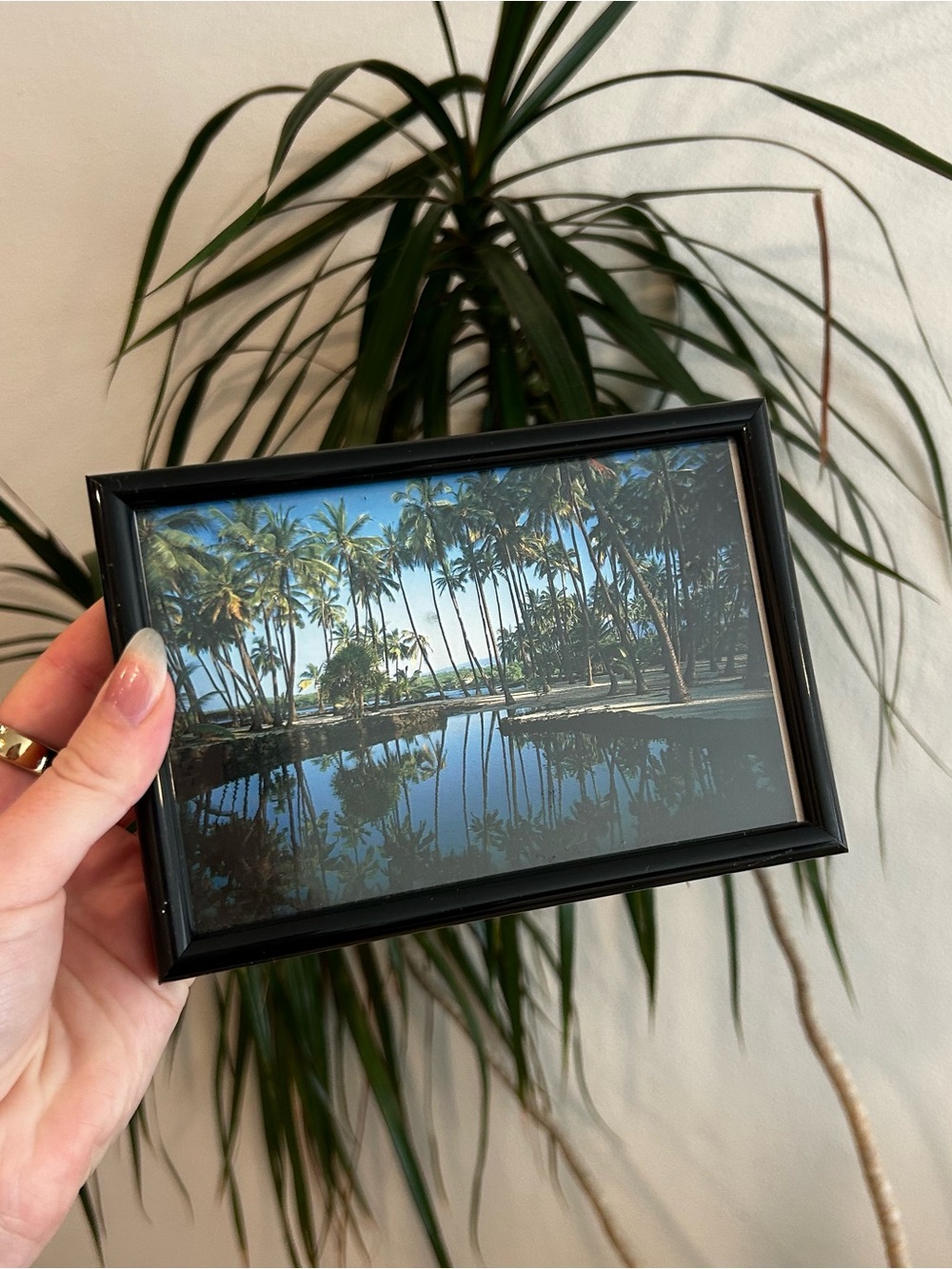 Black Photo Frame with Palm Landscape Print